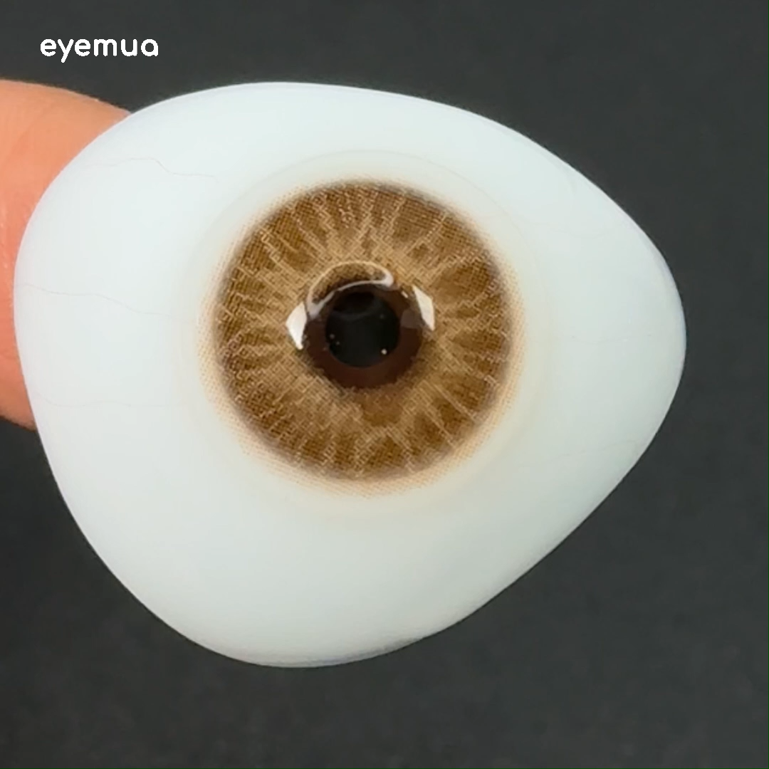 Eyemua Seashell Brown