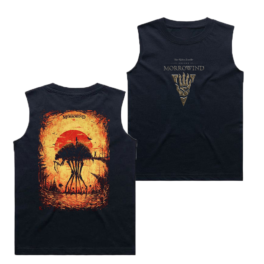 Oblivion Remastered Tee/Sweatshirt/Hoodie