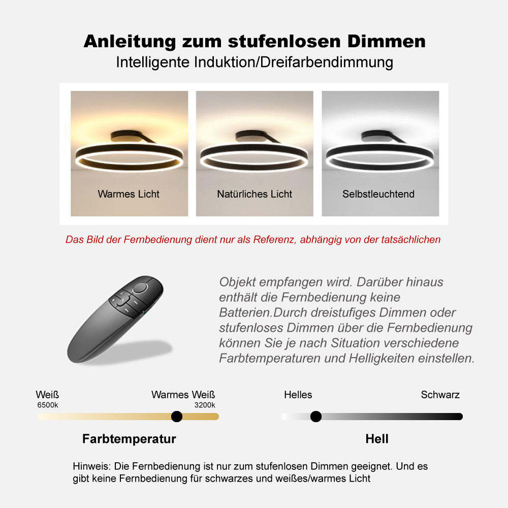 Arisha Modern LED Deckenleuchte Ring Schwarz/Weiß Wohnzimmer Flur Metall