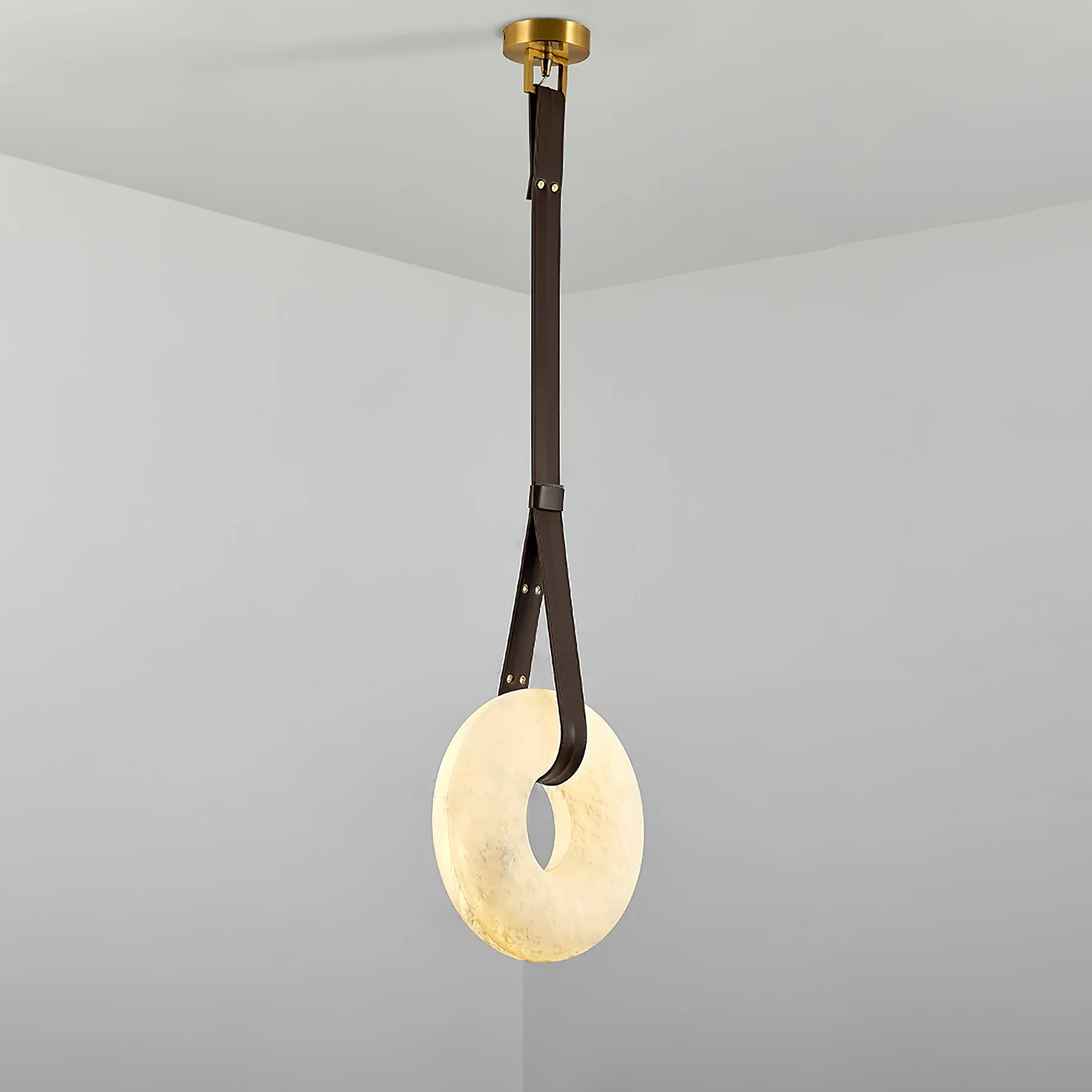 Hailie Vintage Unusual Resin Leather Pendant Light Living Dining Room