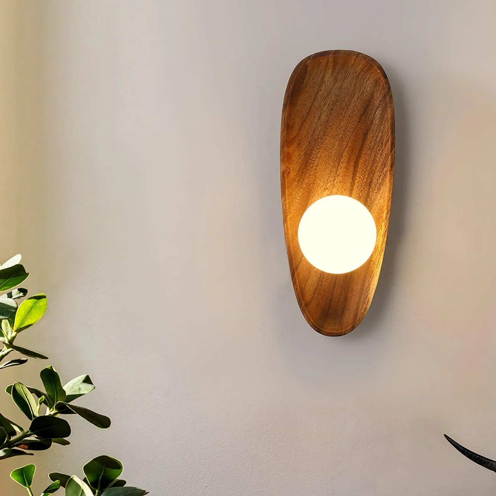 Muto Natural Wood Glass Walnut Wall Lamp Bedroom Living Room