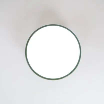 Hailie Minimalism Metal Acrylic Ceiling Lamp Bedroom Living Room