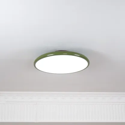 Hailie Minimalism Metal Acrylic Ceiling Lamp Bedroom Living Room