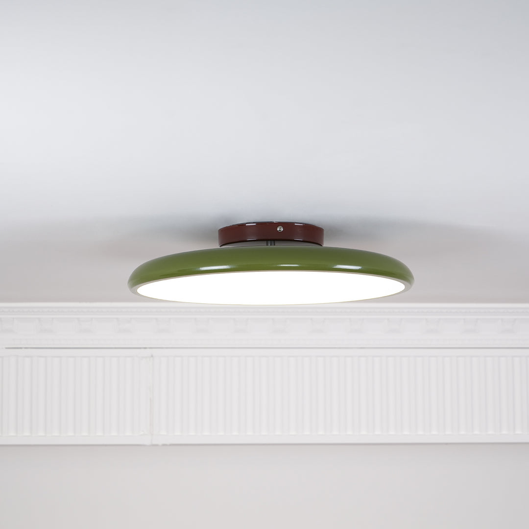 Hailie Minimalism Metal Acrylic Ceiling Lamp Bedroom Living Room