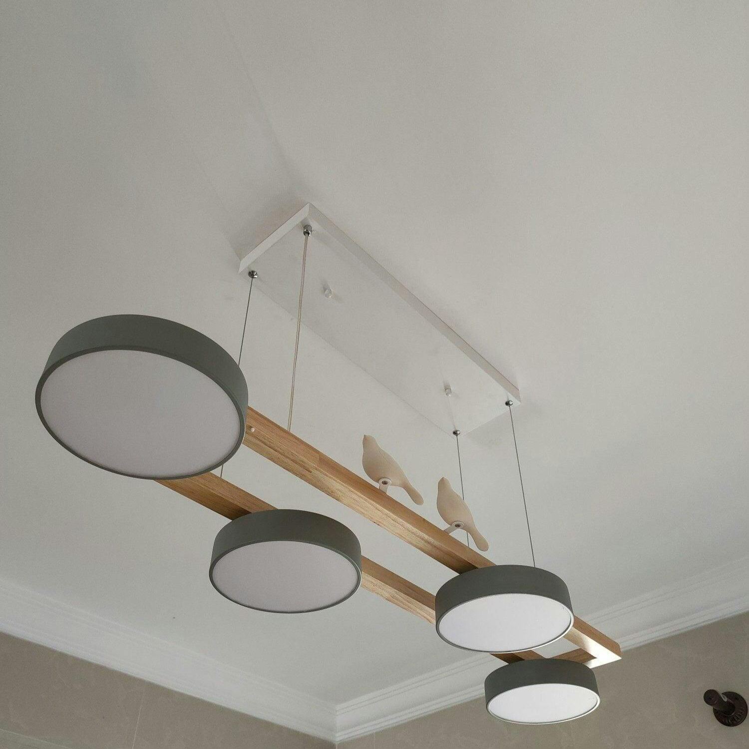 Morandi Modern Metal Wood Resin Acrylic Pendant Light Dining Room Bedroom