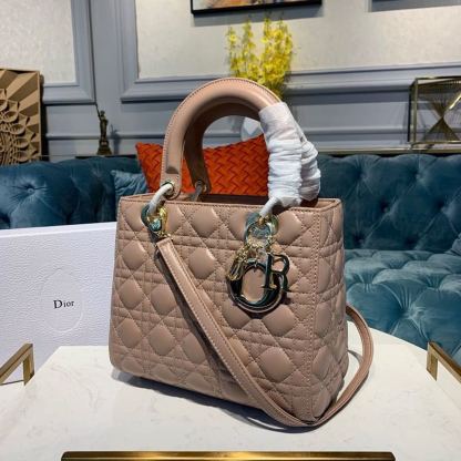 DI Medium Lady Bag Rose Des Vents For Women 9.5in/24cm CD