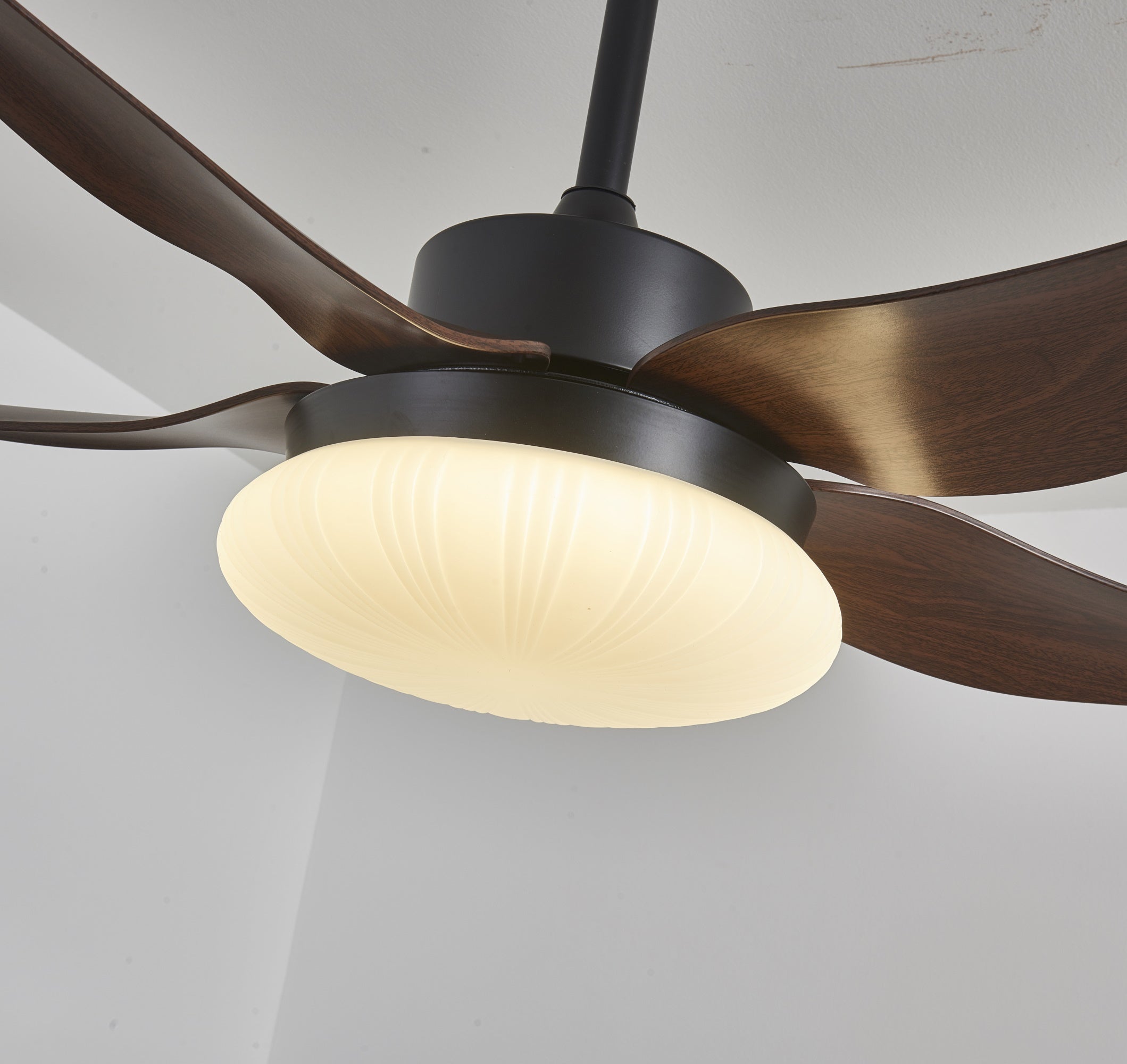 Zerith Ventilateur de Plafond Moderne en Bois avec Lumière - Neutralighting