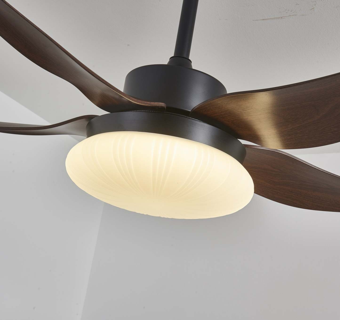 Zerith Ventilateur de Plafond Moderne en Bois avec Lumière - Neutralighting