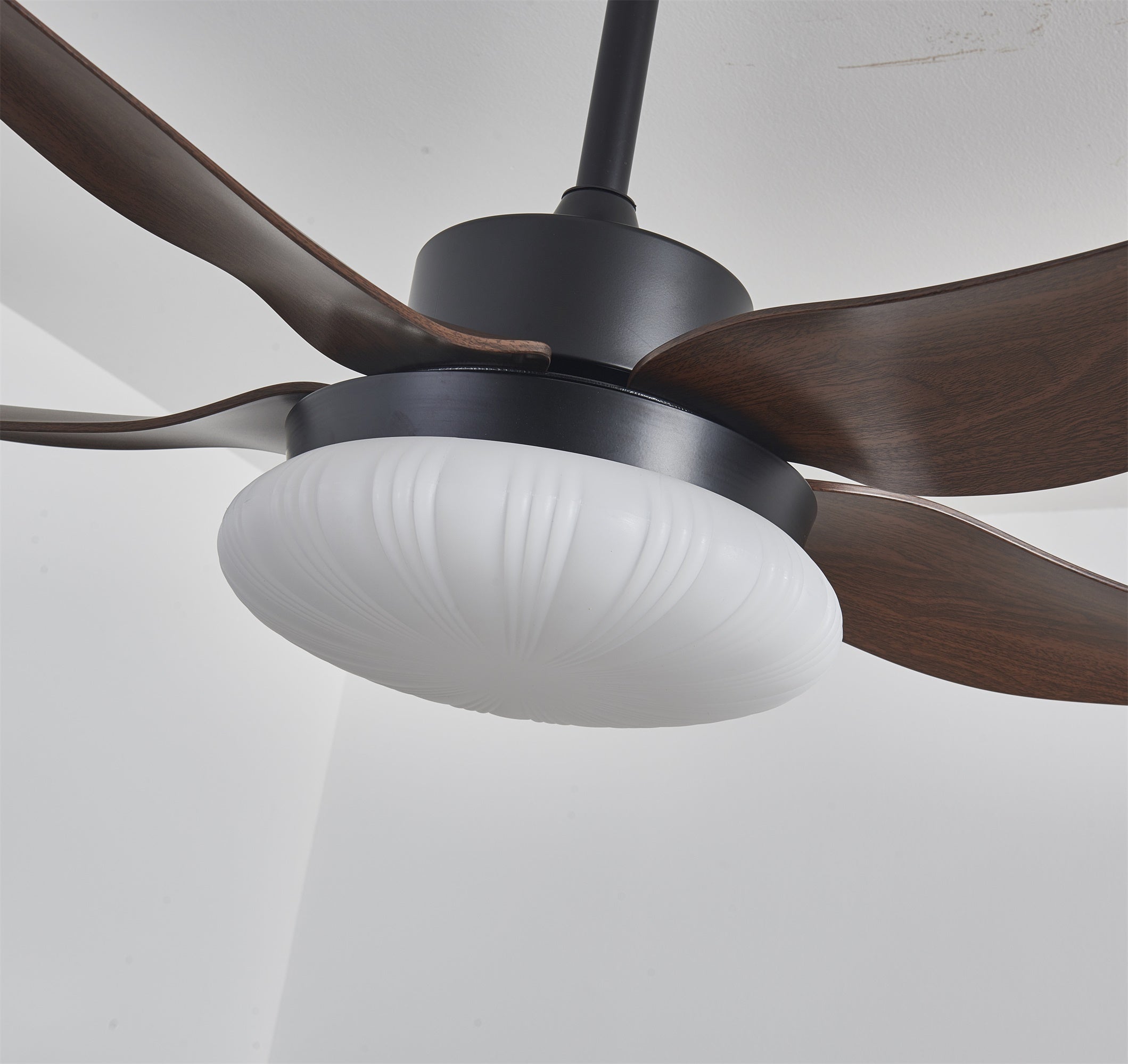 Zerith Ventilateur de Plafond Moderne en Bois avec Lumière - Neutralighting