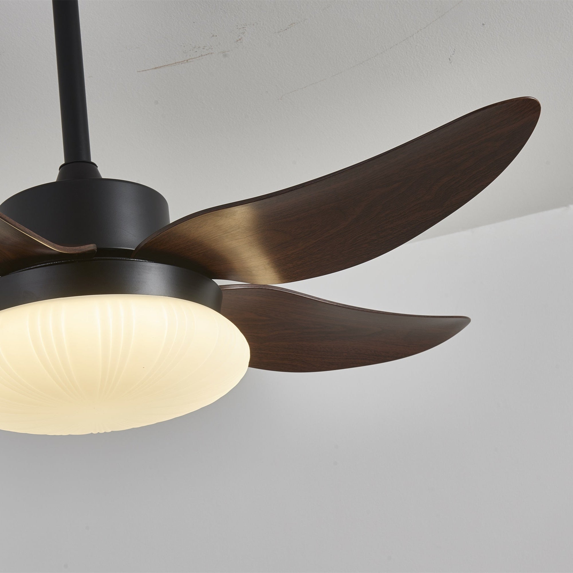 Zerith Ventilateur de Plafond Moderne en Bois avec Lumière - Neutralighting