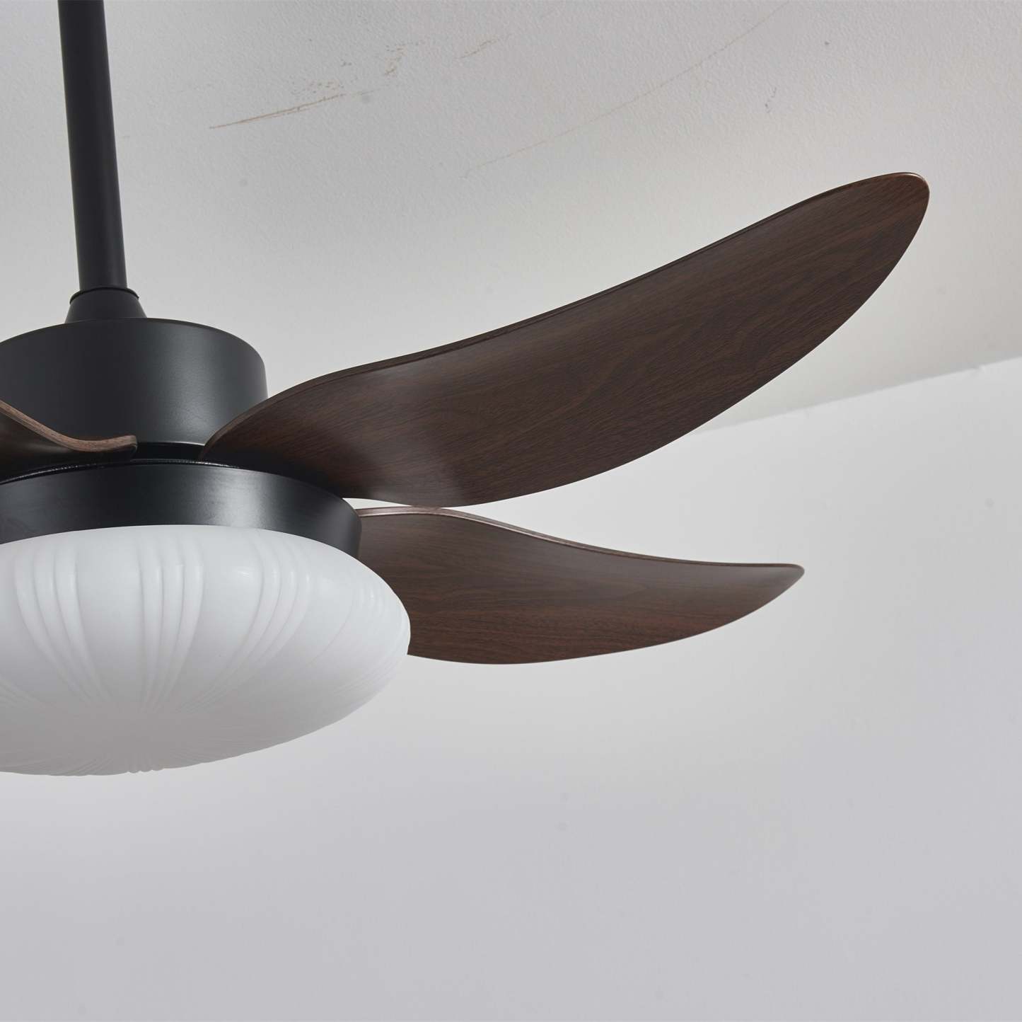 Zerith Ventilateur de Plafond Moderne en Bois avec Lumière - Neutralighting