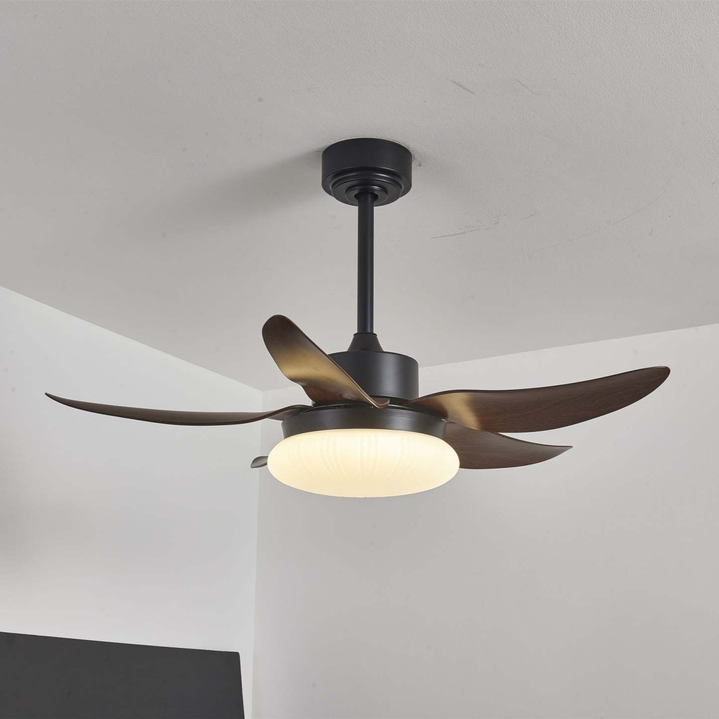 Zerith Ventilateur de Plafond Moderne en Bois avec Lumière - Neutralighting
