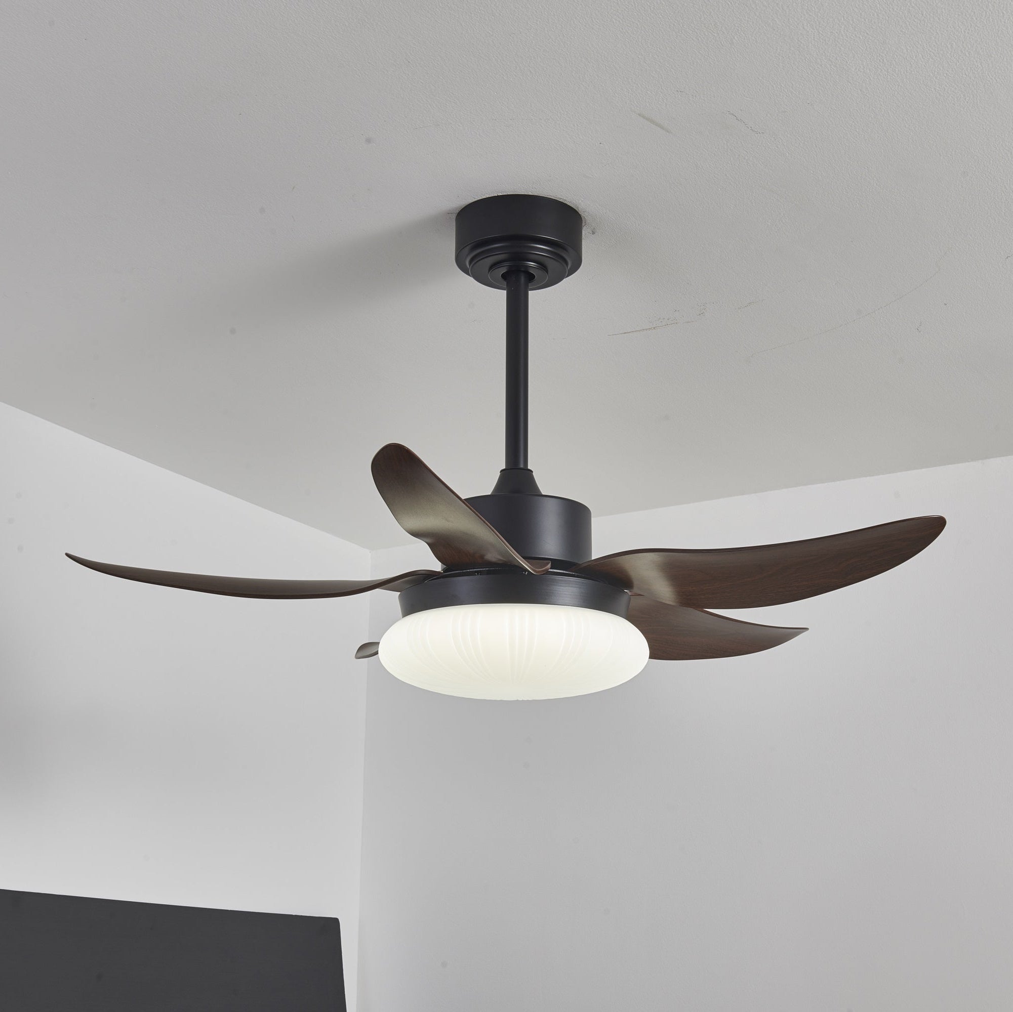 Zerith Ventilateur de Plafond Moderne en Bois avec Lumière - Neutralighting