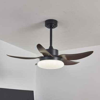 Zerith Ventilateur de Plafond Moderne en Bois avec Lumière - Neutralighting