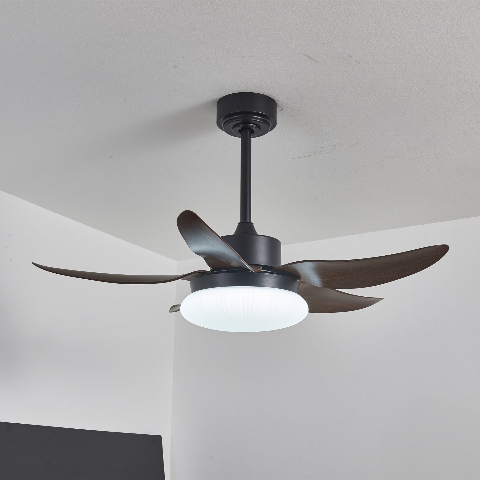 Zerith Ventilateur de Plafond Moderne en Bois avec Lumière - Neutralighting