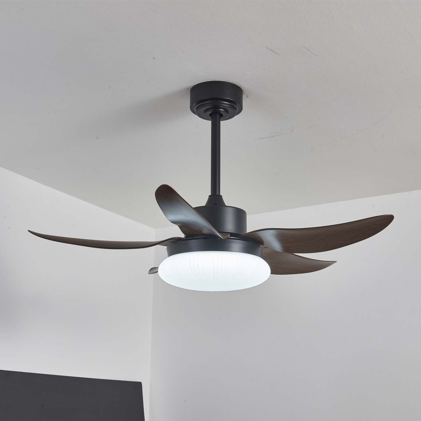 Zerith Ventilateur de Plafond Moderne en Bois avec Lumière - Neutralighting