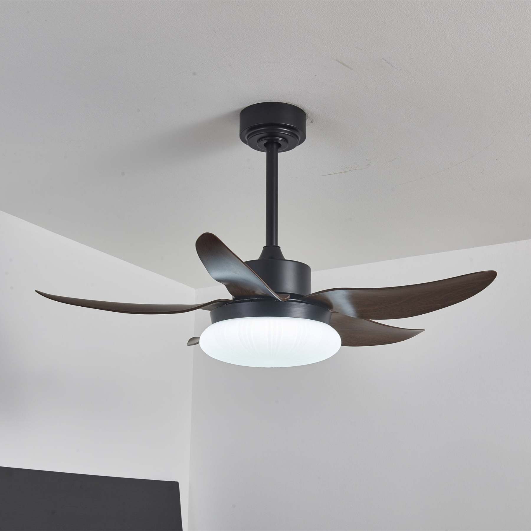 Zerith Ventilateur de Plafond Moderne en Bois avec Lumière - Neutralighting