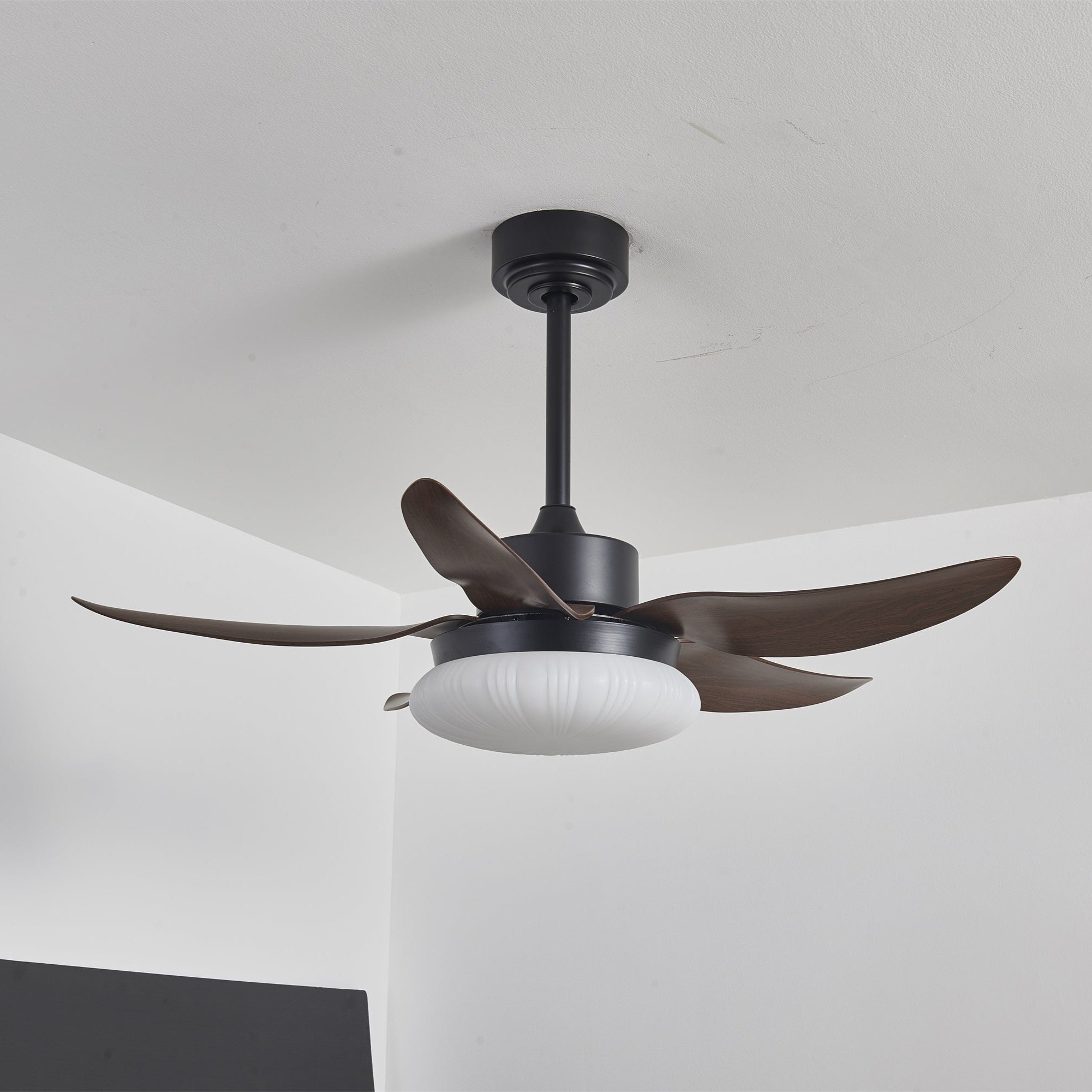 Zerith Ventilateur de Plafond Moderne en Bois avec Lumière - Neutralighting