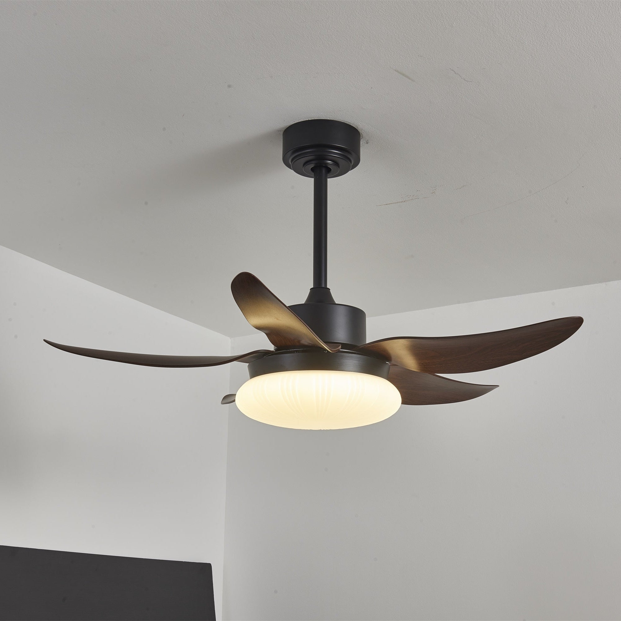 Zerith Ventilateur de Plafond Moderne en Bois avec Lumière - Neutralighting