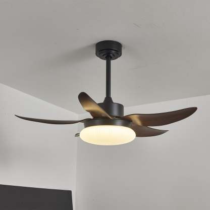Zerith Ventilateur de Plafond Moderne en Bois avec Lumière - Neutralighting