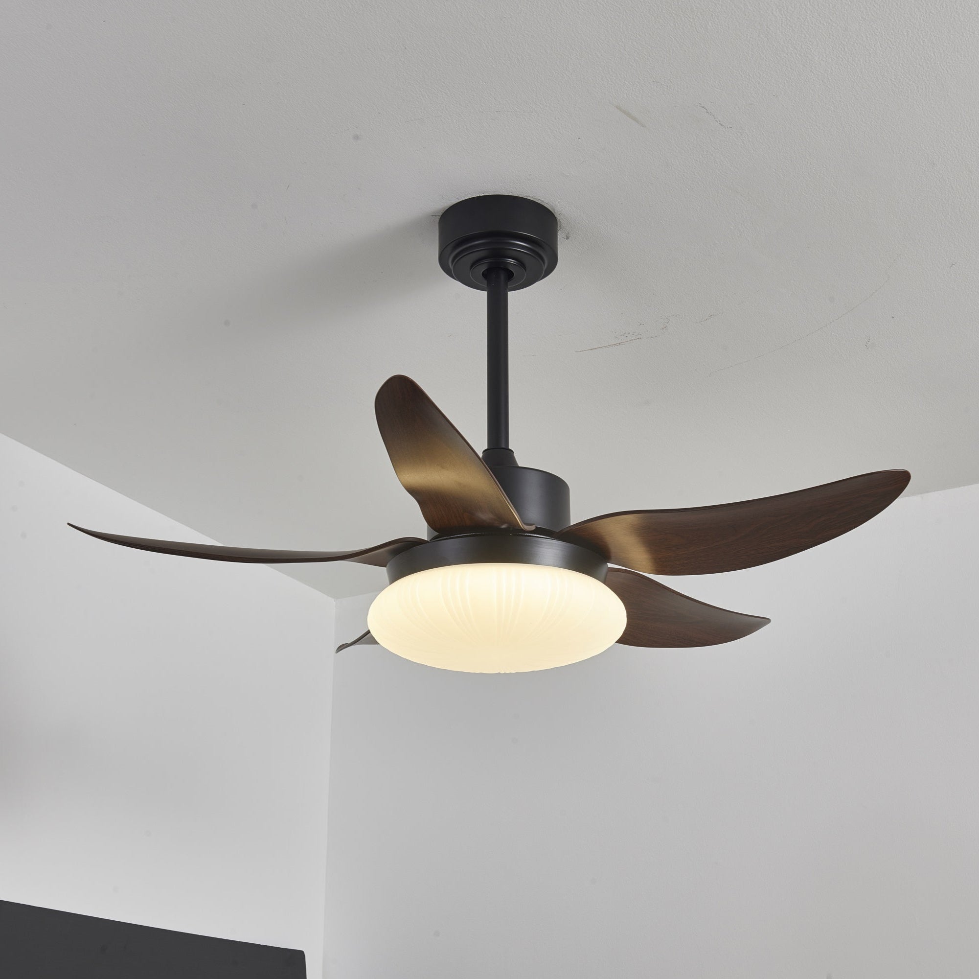 Zerith Ventilateur de Plafond Moderne en Bois avec Lumière - Neutralighting