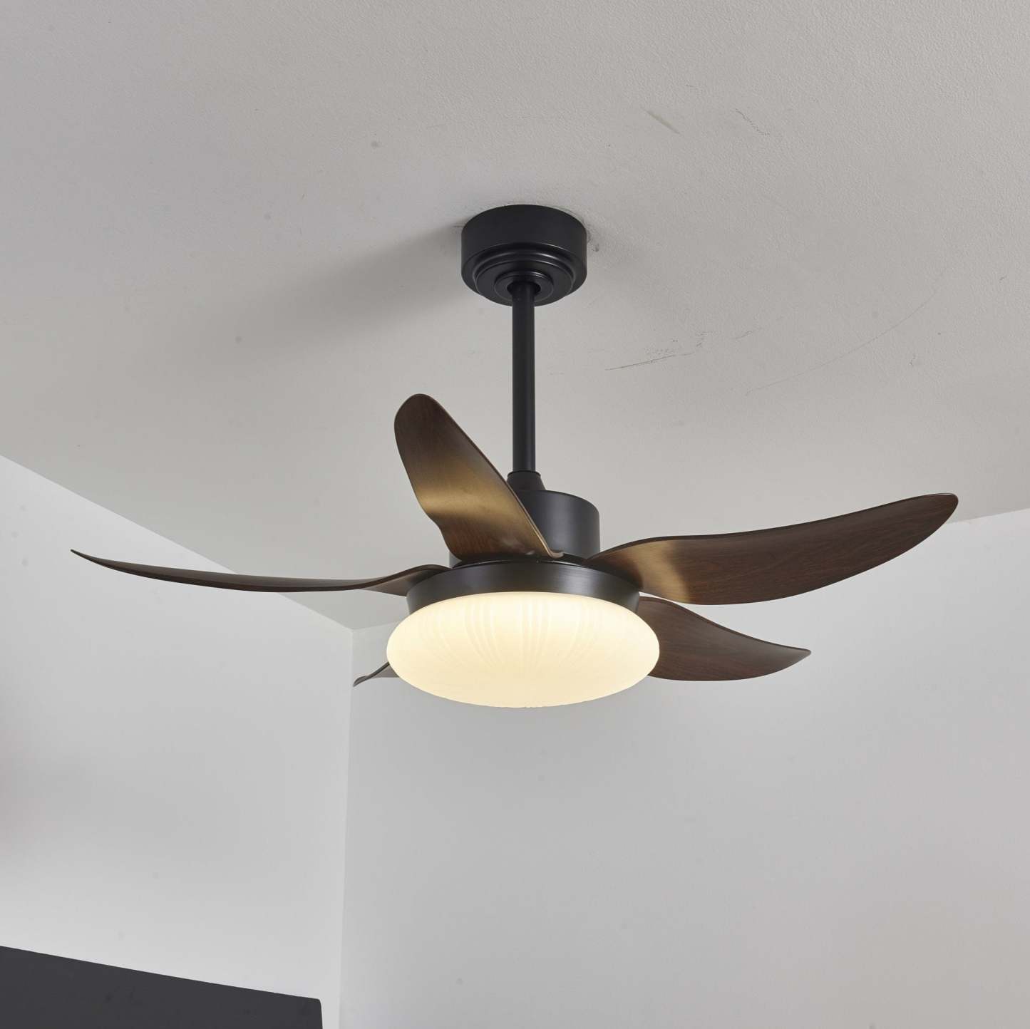 Zerith Ventilateur de Plafond Moderne en Bois avec Lumière - Neutralighting