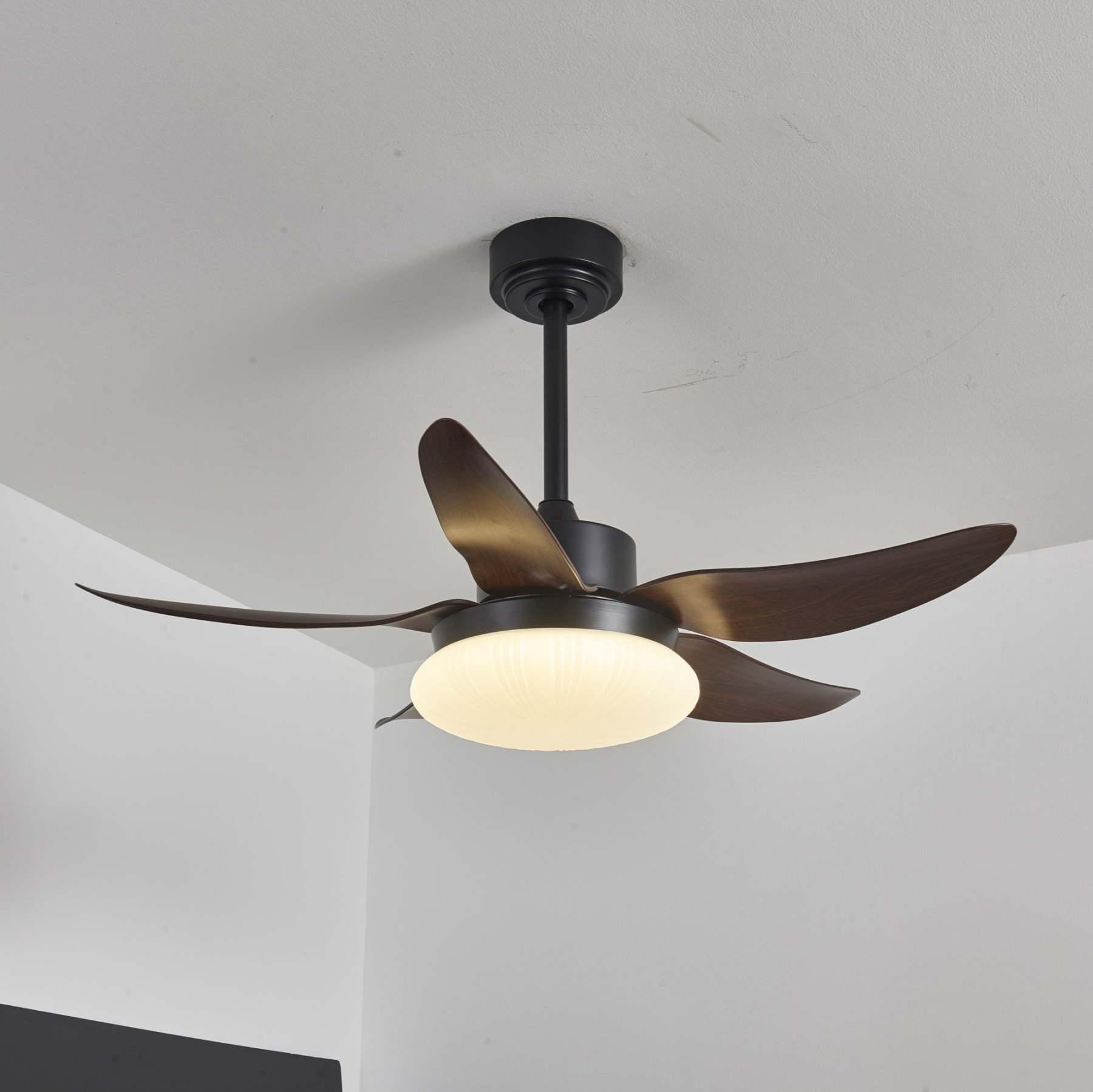 Zerith Ventilateur de Plafond Moderne en Bois avec Lumière - Neutralighting