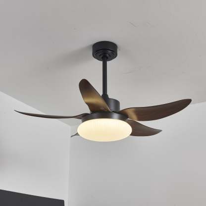 Zerith Ventilateur de Plafond Moderne en Bois avec Lumière - Neutralighting