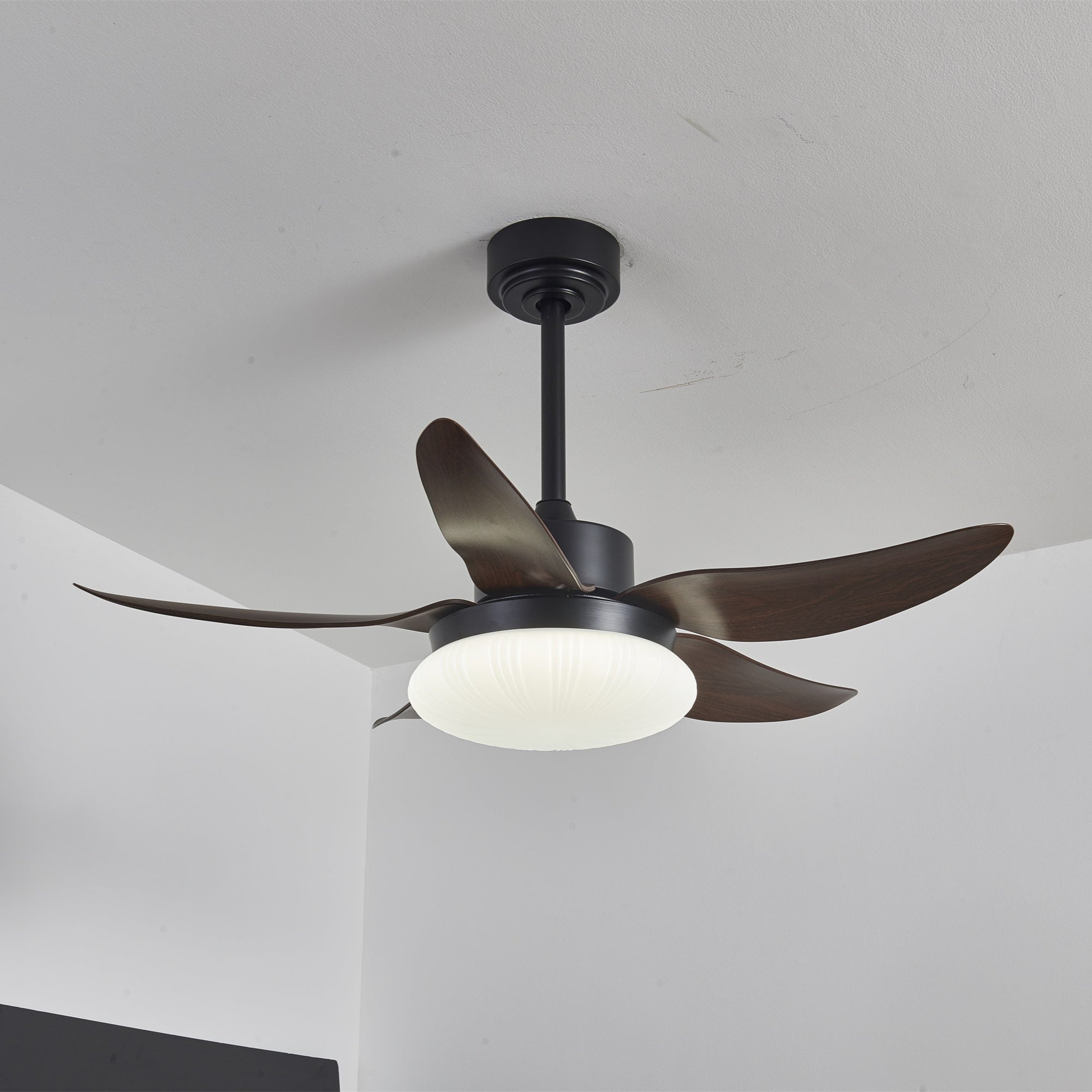 Zerith Ventilateur de Plafond Moderne en Bois avec Lumière - Neutralighting