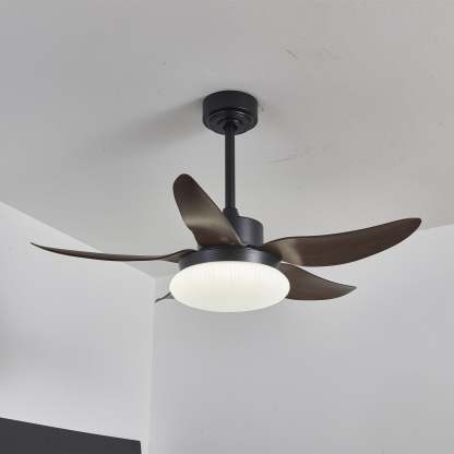 Zerith Ventilateur de Plafond Moderne en Bois avec Lumière - Neutralighting