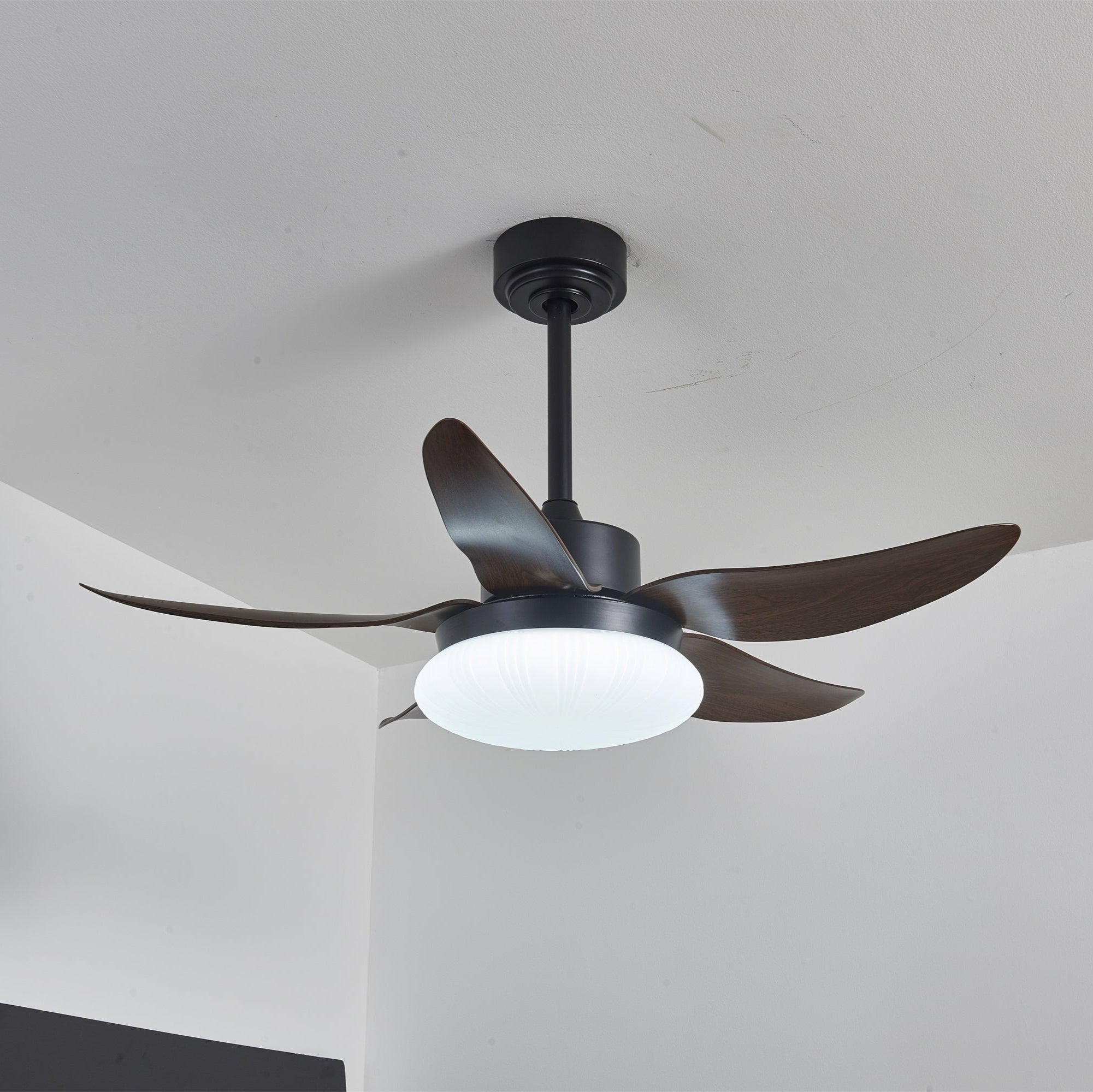 Zerith Ventilateur de Plafond Moderne en Bois avec Lumière - Neutralighting