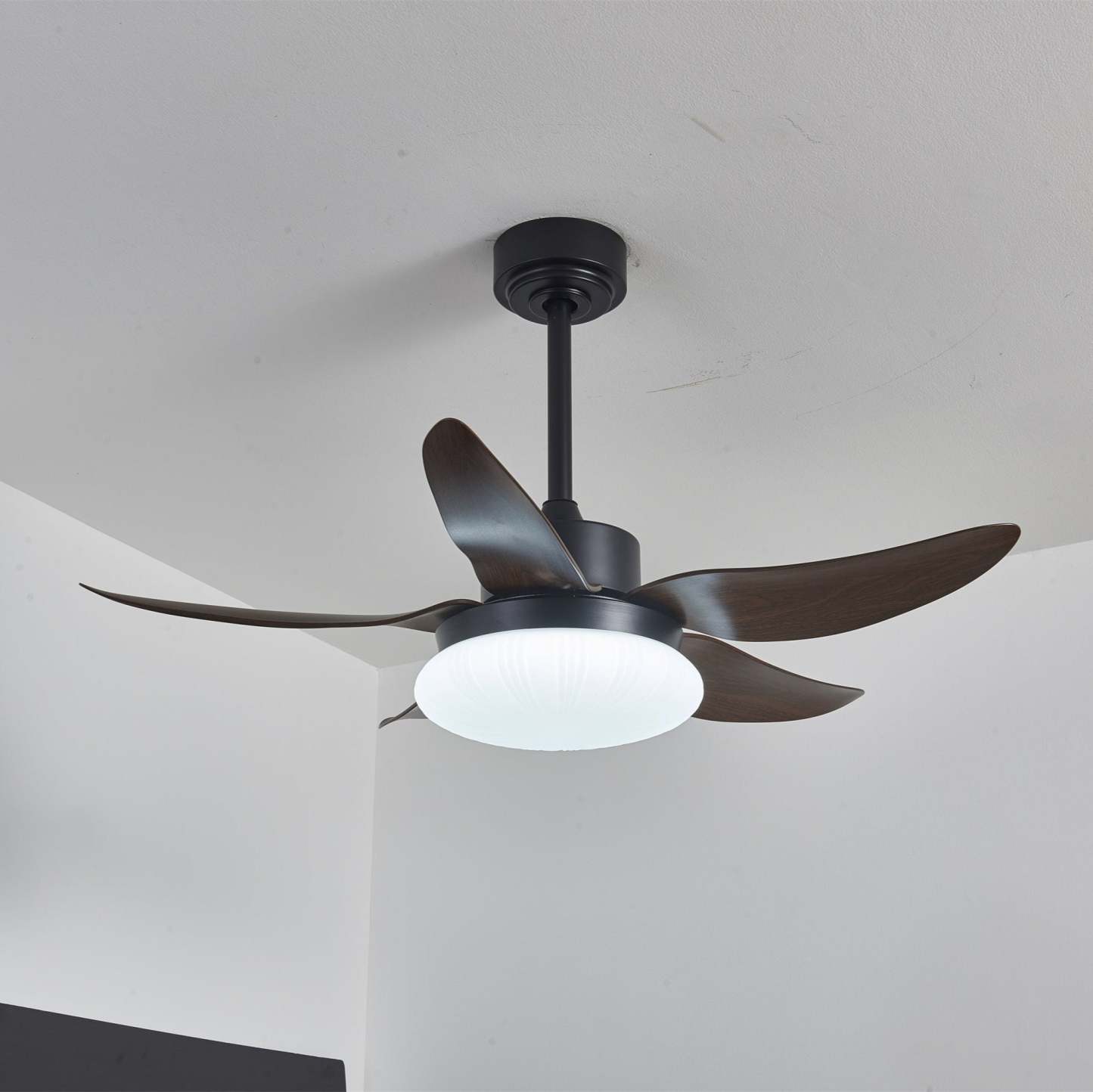 Zerith Ventilateur de Plafond Moderne en Bois avec Lumière - Neutralighting