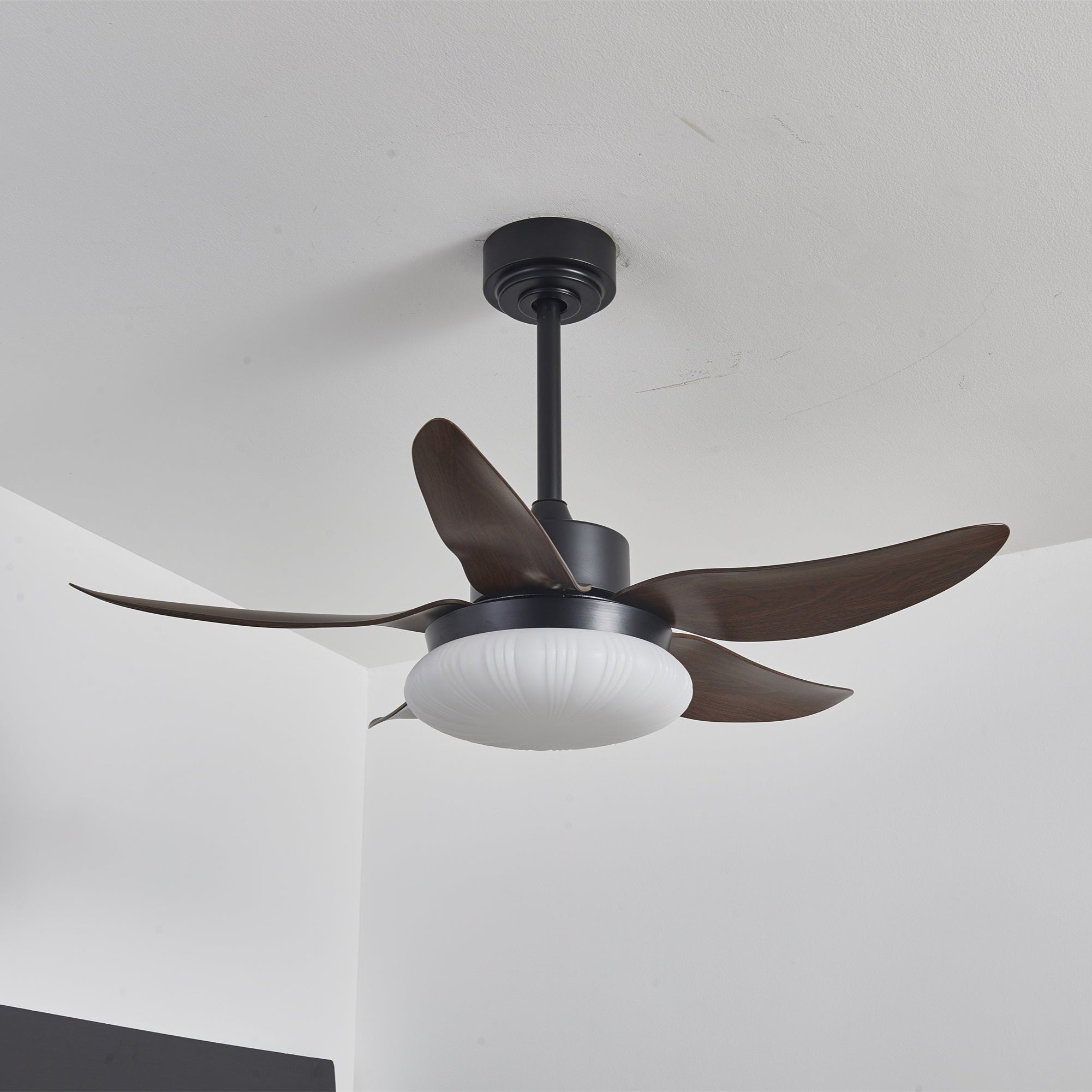 Zerith Ventilateur de Plafond Moderne en Bois avec Lumière - Neutralighting