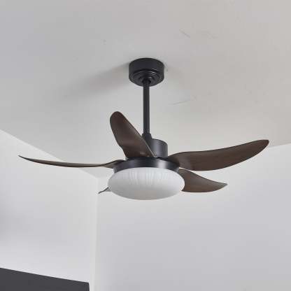 Zerith Ventilateur de Plafond Moderne en Bois avec Lumière - Neutralighting