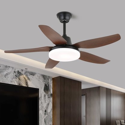 Ventilateur de Plafond Aurefan en Bois avec Lumière - Neutralighting