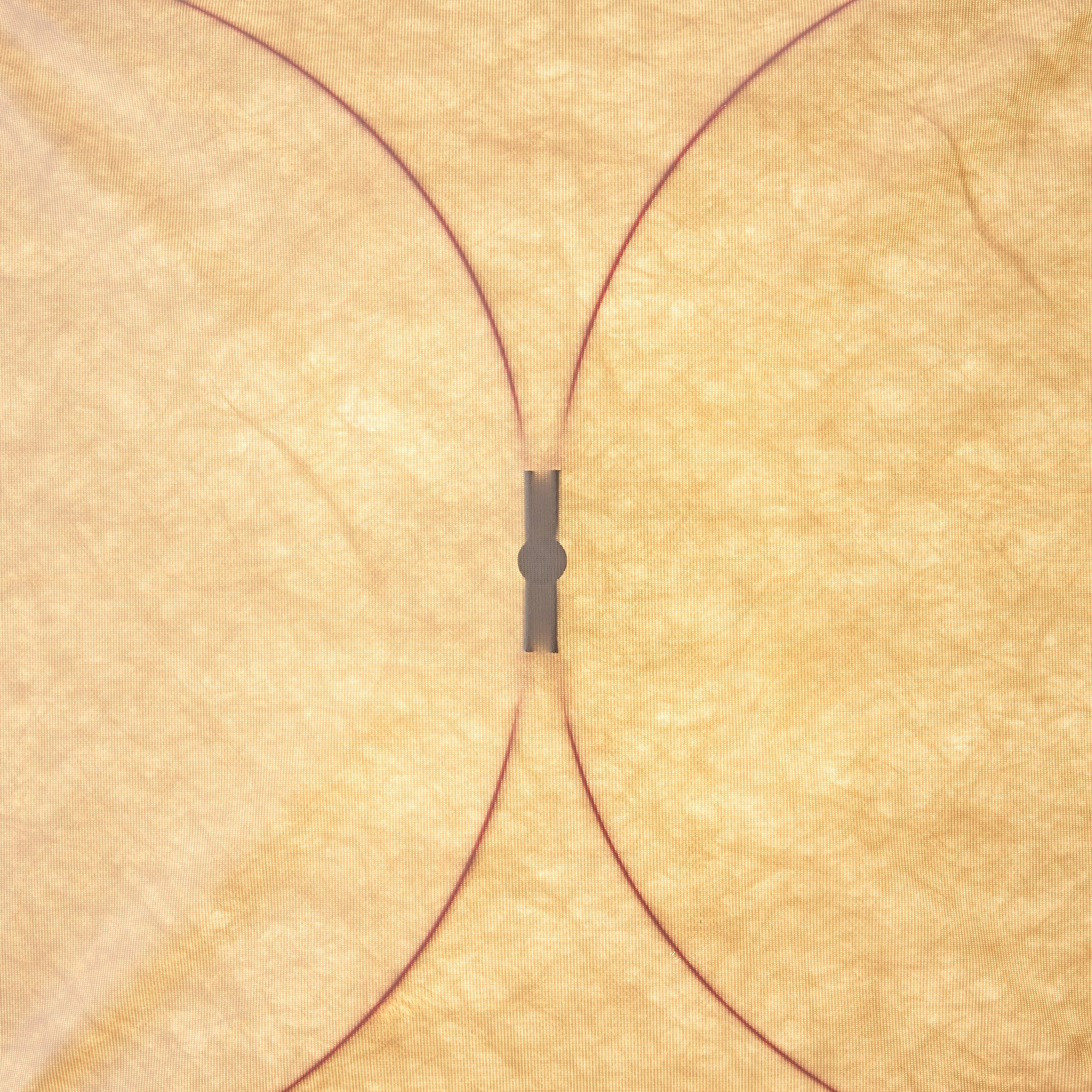 Hakka Kite Wall Light