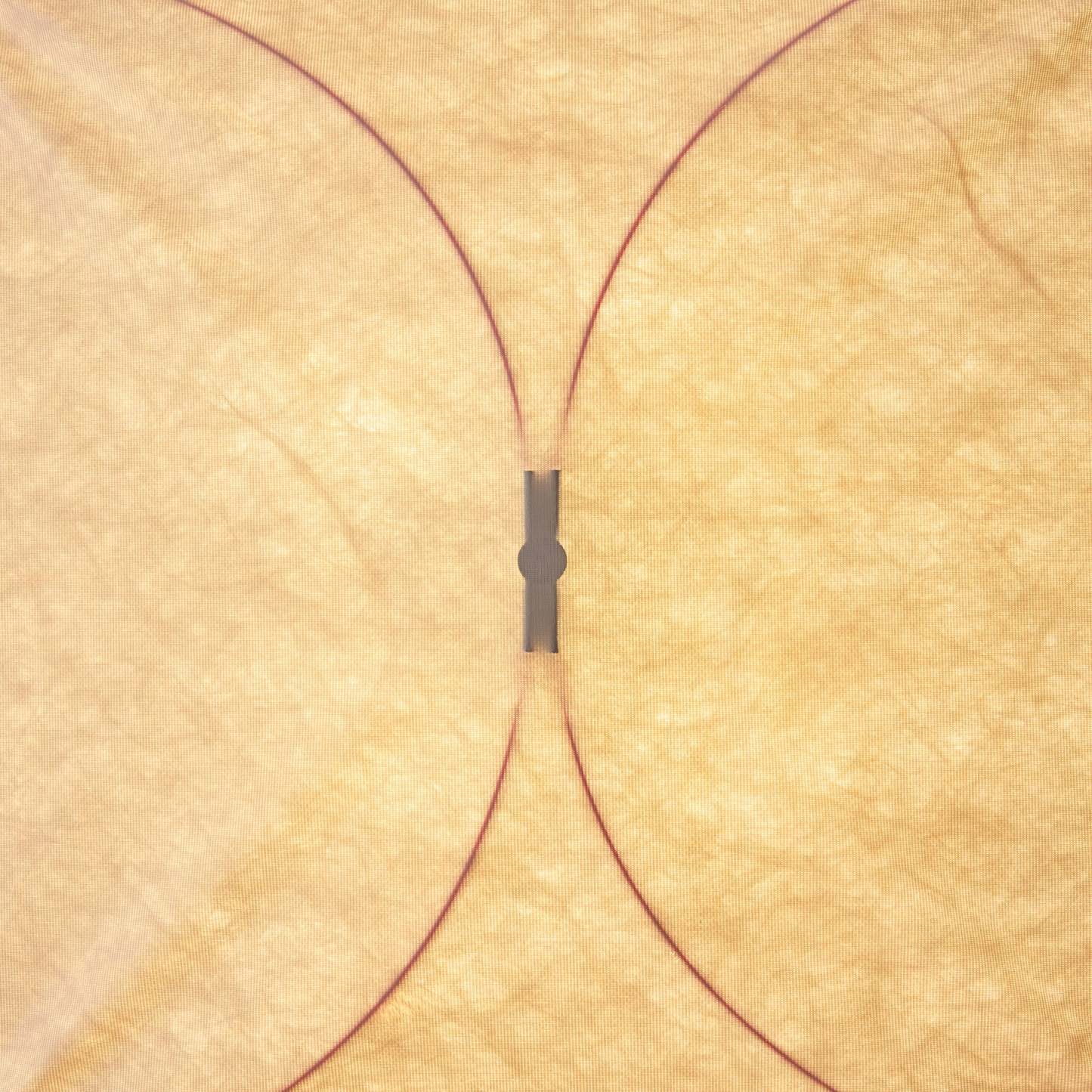 Hakka Kite Wall Light