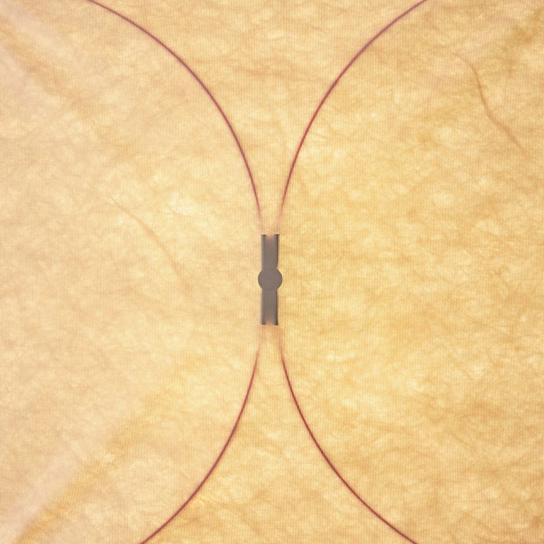 Hakka Kite Wall Light
