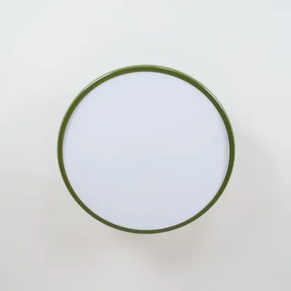 Hailie Minimalisme Métal Acrylique Plafonnier Chambre à Coucher Salon