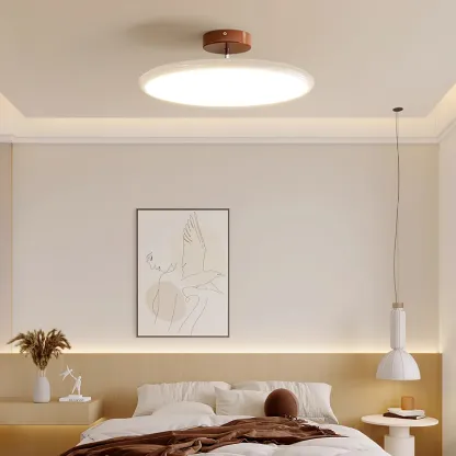 Hailie Minimalism Metal Acrylic Ceiling Lamp Bedroom Living Room