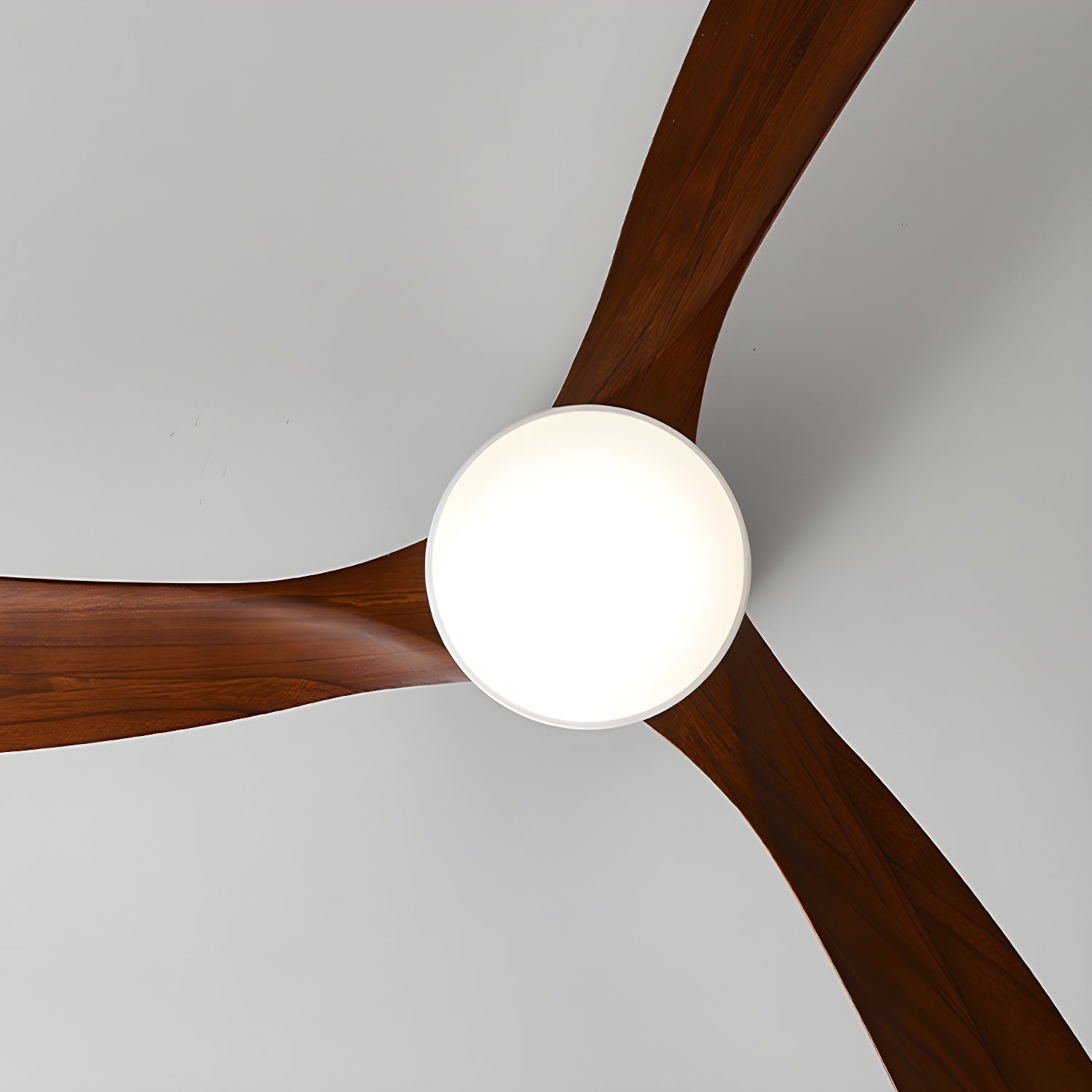 Ventilateur de plafond nordique en bois Ezra avec lumière - Neutralighting