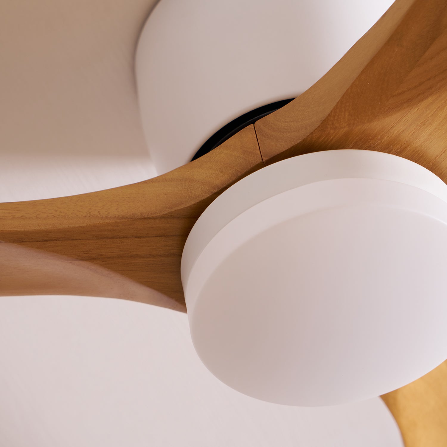 Ventilateur de plafond nordique en bois Ezra avec lumière - Neutralighting