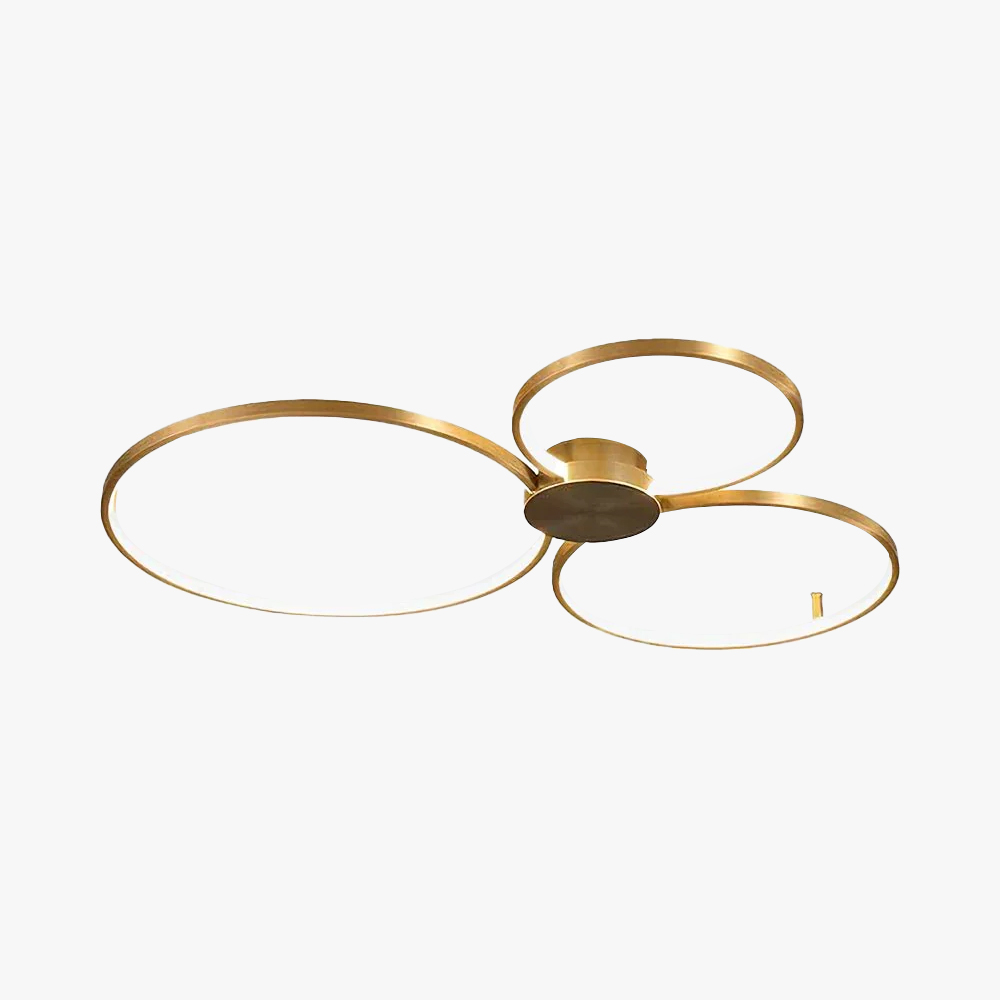 Quinn Modern LED Loop Metal Ceiling Light Living Room Bedroom