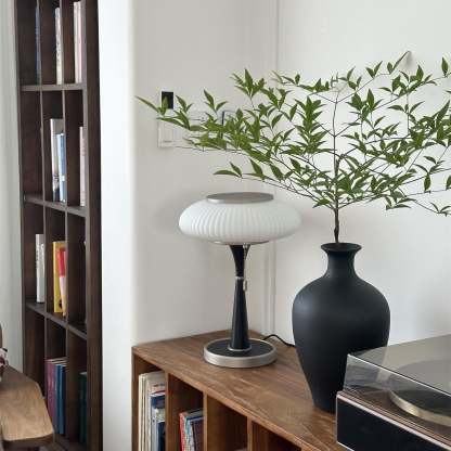 Drift Wood and Glass Table Lamp