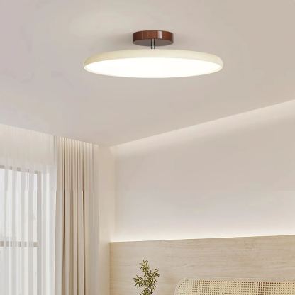 Hailie Minimalisme Métal Acrylique Plafonnier Chambre à Coucher Salon