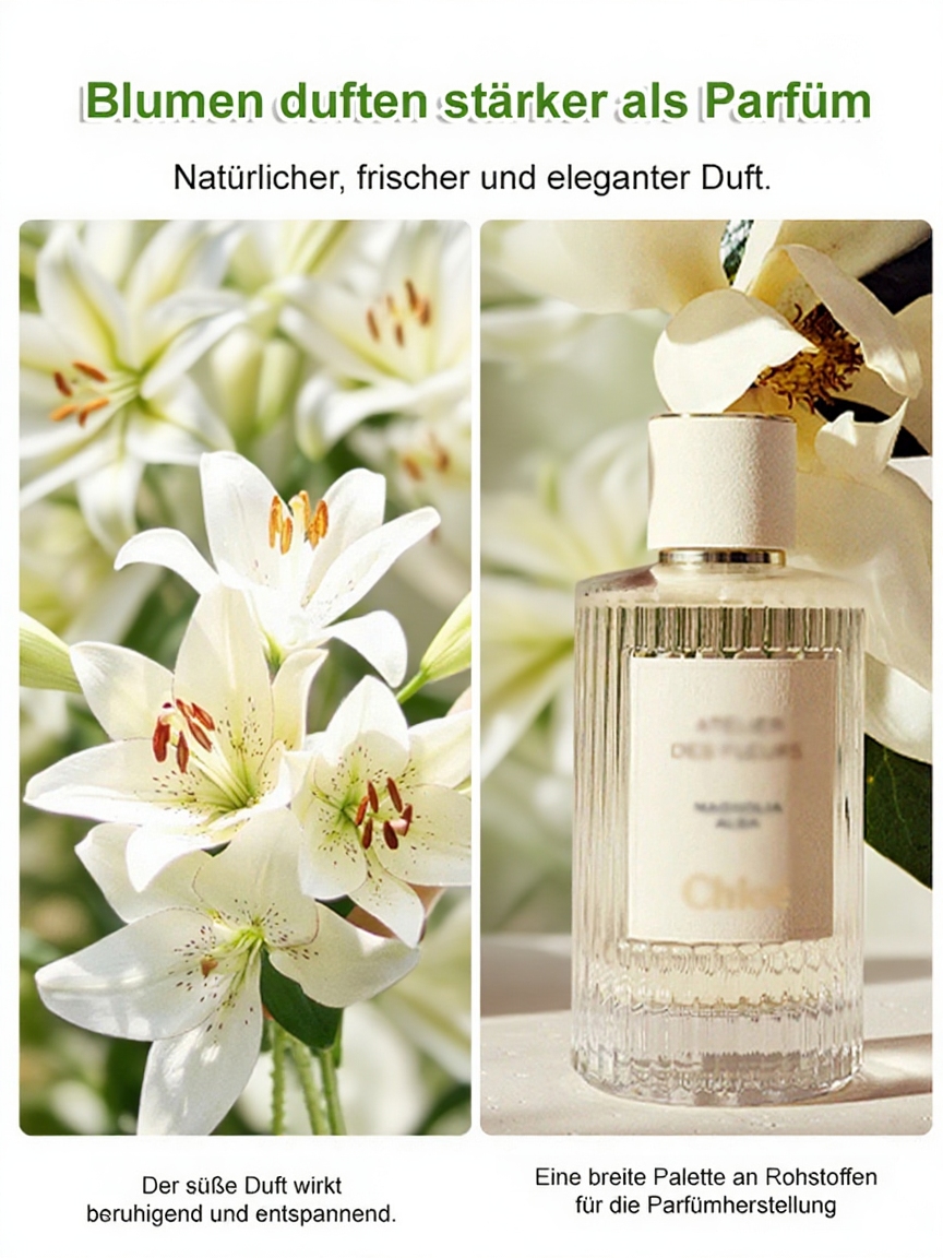 🌸Blühende Lilienzwiebeln das ganze Jahr über – große, leuchtende Blüten und ein atemberaubendes Aussehen!