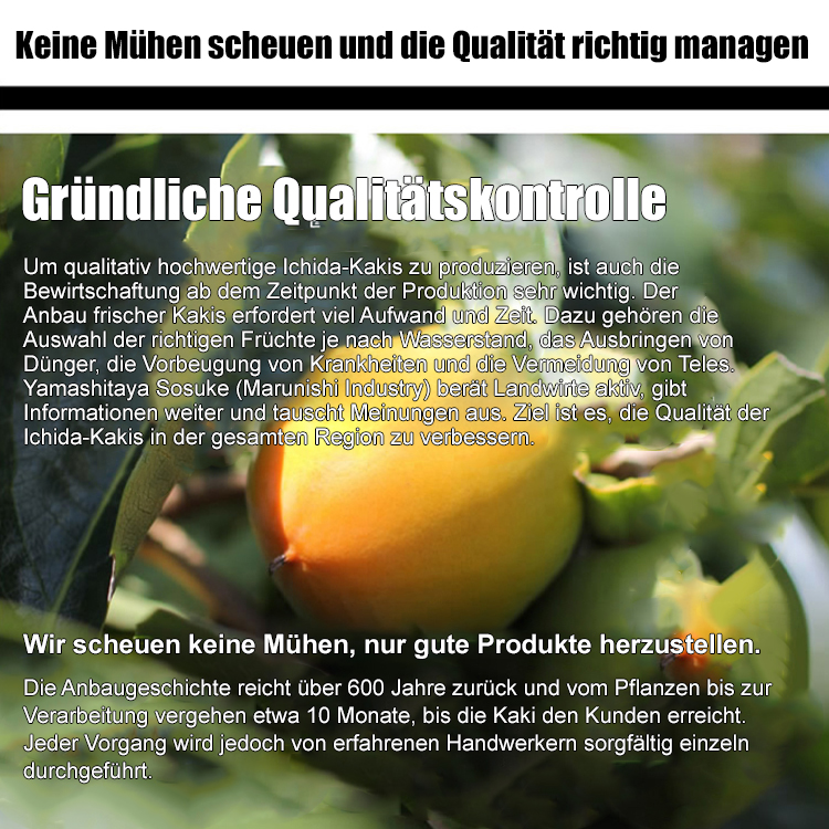 【Gratisprobe😋】✅️Natürlicher Bio-Kaki-Kuchen mit flüssigem Kern💫, ein zartes und köstliches Dessert, ideal für Senioren🤩, ohne Zuckerzusatz