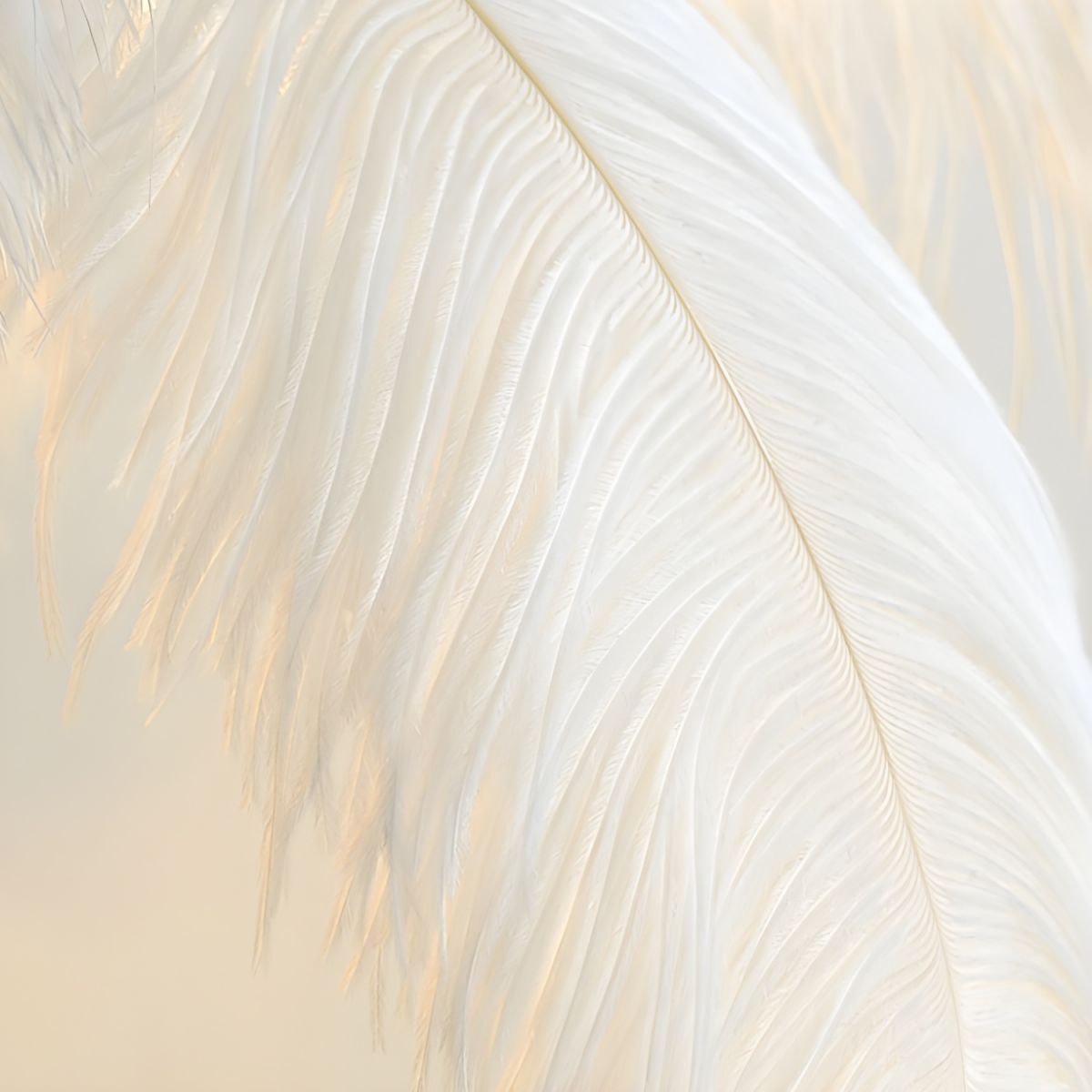 O'Moore Nordic Luxury Unique Ostrich Feather Floor Lamp/Table Lamp