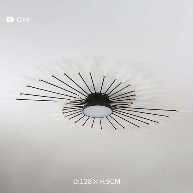 Lowry Modern Home Decoration Fireworks LED Ceiling Light