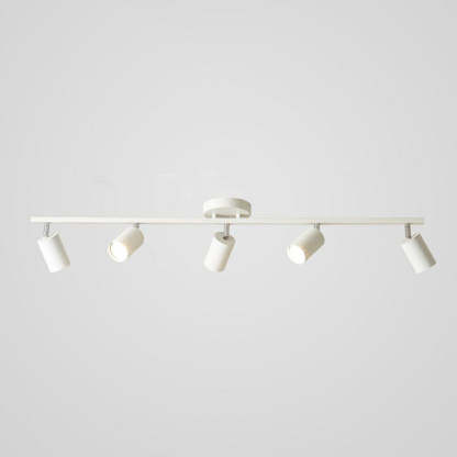 Haney Modern Ceiling Light Spotlight Cast 3 Color 3/4/5/6 Head